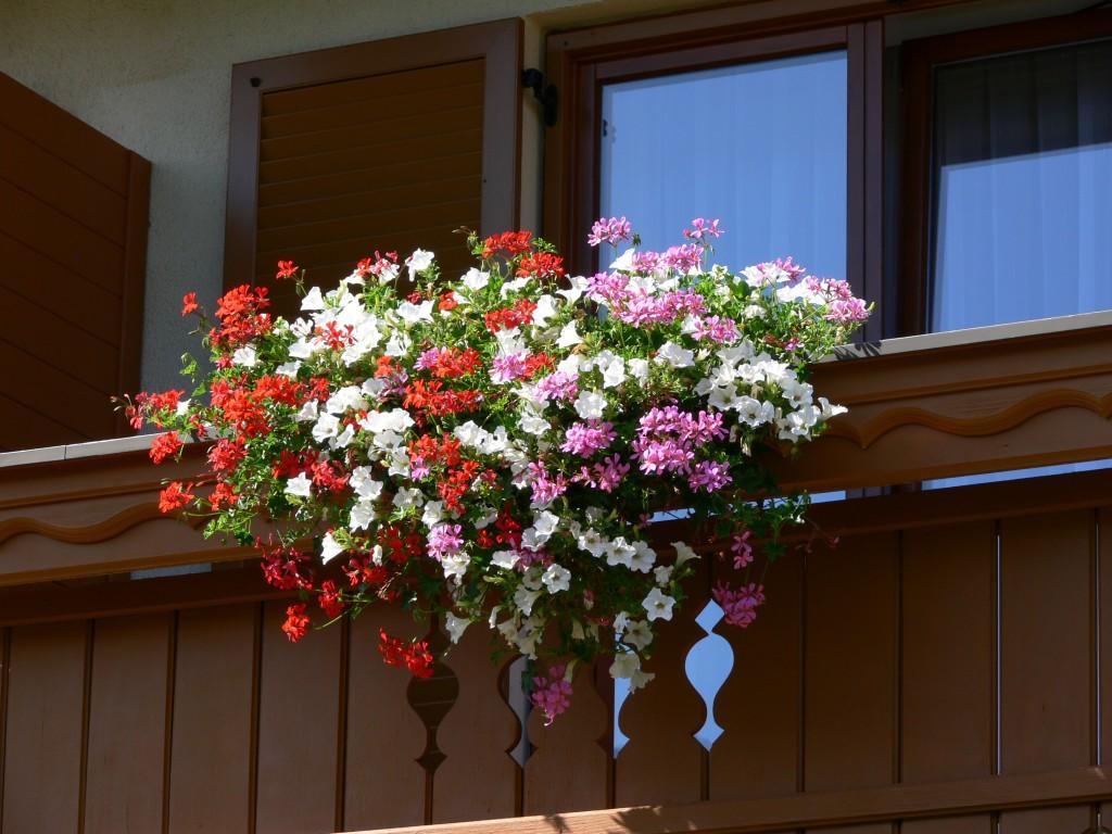 Gastehaus Sapetschnig Apartment Фаак ам Зее Екстериор снимка